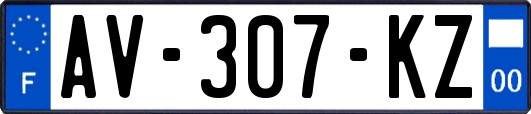 AV-307-KZ