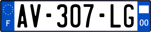 AV-307-LG