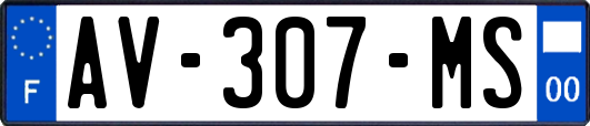 AV-307-MS