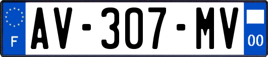 AV-307-MV