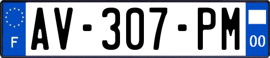 AV-307-PM