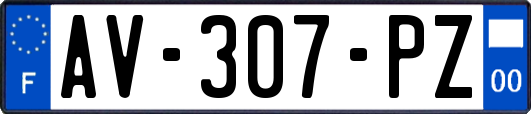 AV-307-PZ