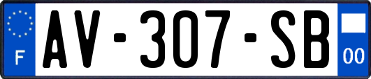 AV-307-SB