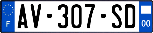 AV-307-SD