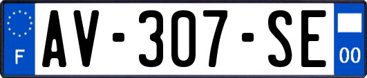 AV-307-SE