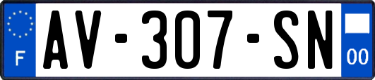 AV-307-SN