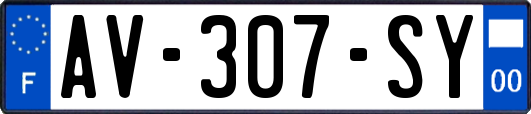 AV-307-SY