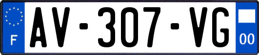 AV-307-VG