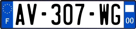 AV-307-WG