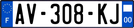 AV-308-KJ