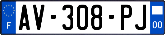 AV-308-PJ