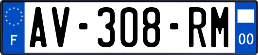 AV-308-RM
