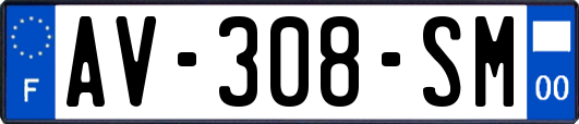 AV-308-SM