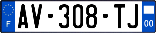 AV-308-TJ