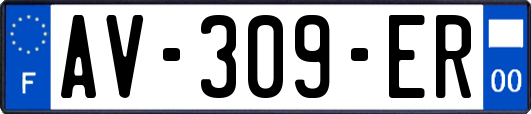 AV-309-ER