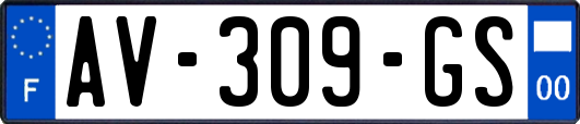 AV-309-GS