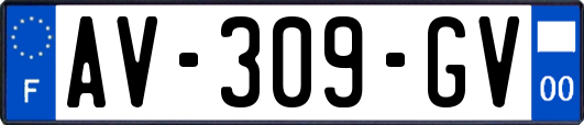 AV-309-GV