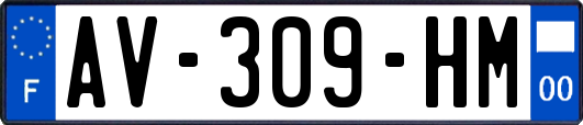 AV-309-HM
