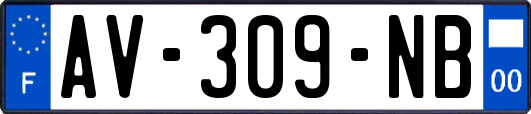 AV-309-NB