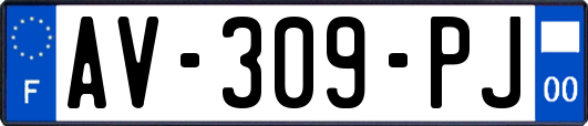 AV-309-PJ