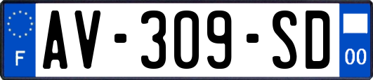 AV-309-SD
