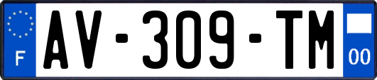 AV-309-TM