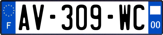 AV-309-WC