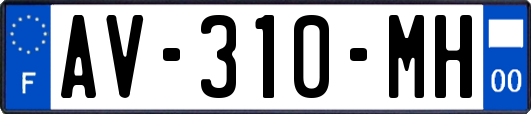AV-310-MH