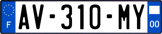AV-310-MY