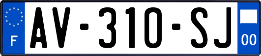 AV-310-SJ