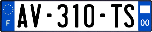 AV-310-TS