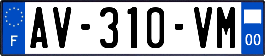 AV-310-VM