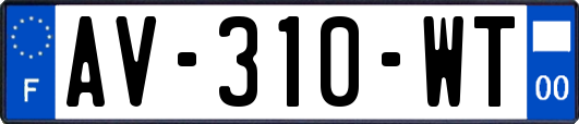 AV-310-WT