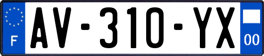 AV-310-YX
