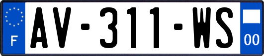 AV-311-WS
