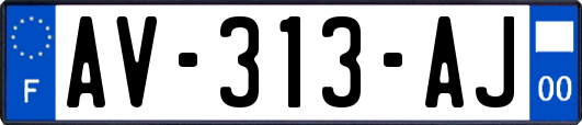 AV-313-AJ