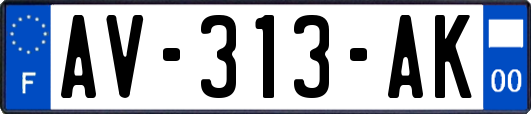 AV-313-AK