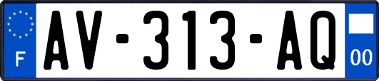 AV-313-AQ