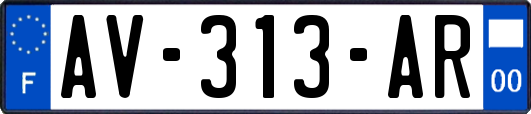 AV-313-AR