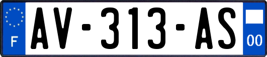 AV-313-AS