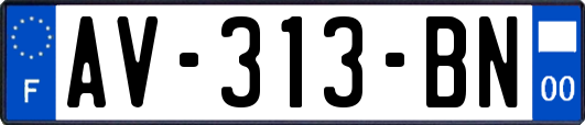 AV-313-BN