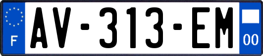 AV-313-EM