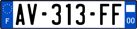 AV-313-FF