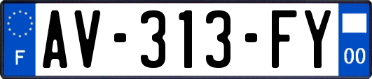 AV-313-FY