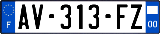 AV-313-FZ