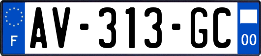 AV-313-GC
