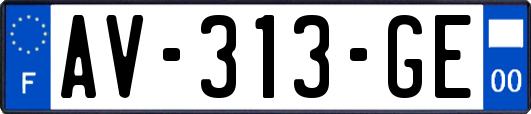 AV-313-GE