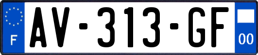 AV-313-GF