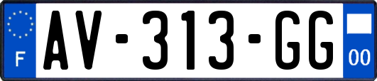 AV-313-GG