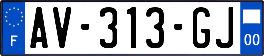 AV-313-GJ